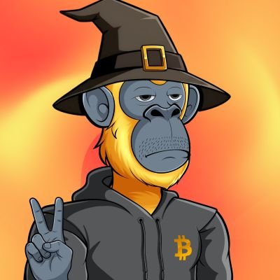 AlphaDripNFTs's profile picture. https://t.co/9u9Aki1kQc