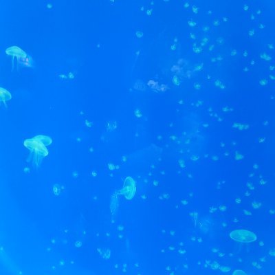 rdlzrd_'s profile picture. don't try to find me