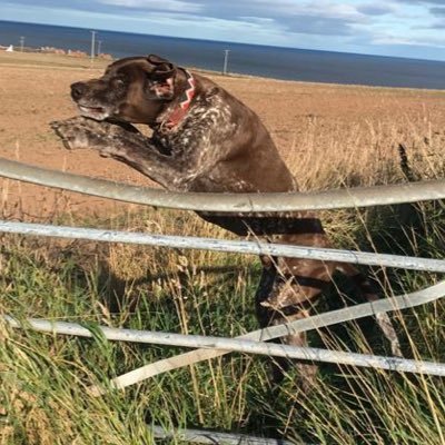 jpsl7's profile picture. 