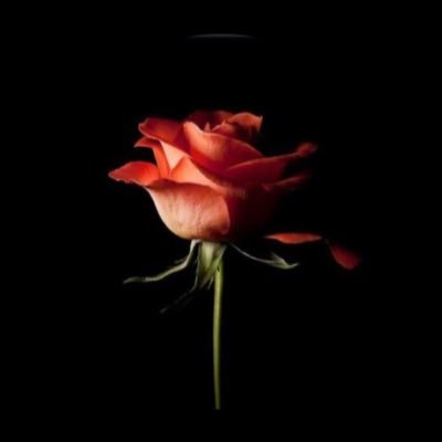 vehement_flame's profile picture. 