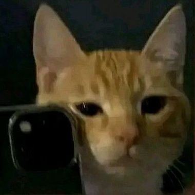 89ktyouth's profile picture. —   álcool   rock    lesbianismo   e sport club corinthians paulista