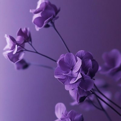 Ro_Henny_'s profile picture. “the carousel never stops turning” | Psalm 94:22 | Master’s Candidate | Mental health advocate |