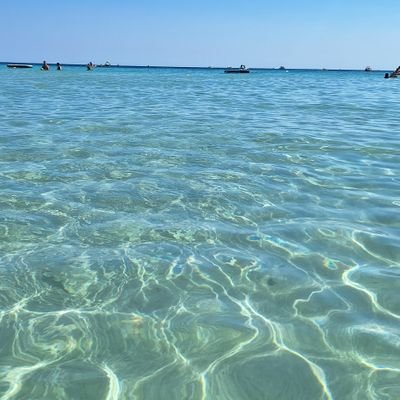 blackthoug21's profile picture. nic