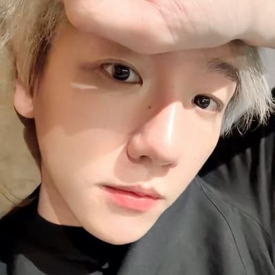 Userhoki614's profile picture. Akun @/blueberryzm ditangguhkan! ≽^• ˕ • ྀི≼ ੭