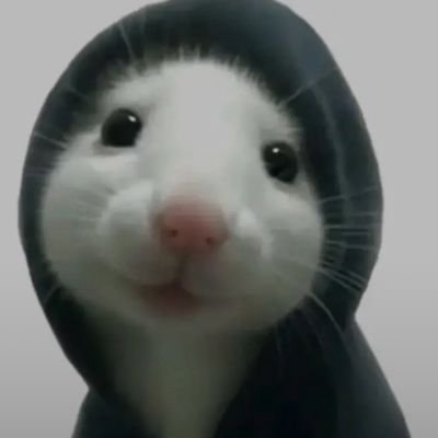 fufuhhfafah's profile picture. Yapping trs