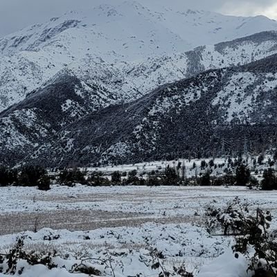 Alejand64086478's profile picture. Opinión.  🎼 Música 🎼.  Economia. A mi Derecha. #Republicano KAST 💙.NO DMs.&.Bitcoin.💙🇩🇪 AfD 💙.🖒😎🖒 💜 🇩🇪 💜 🇨🇱💙 #PATRIOT 💙 🇩🇪 💙 💙MAGA💙