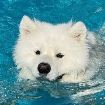 MeRoNiVIII's profile picture. รักเฟเมษ์ไม่เจ็บเลยสักวัน🫶🏻

#fay_riezz #maywyda
#faymay #เฟเมษ์ 𓆩♡𓆪
( #DreamGL #SWSHGL )                                  #น้ำหนึ่งเนย #punn