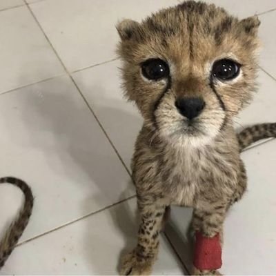 I_am_a_person98's profile picture. 맞비계 선호！！！！
Mememe