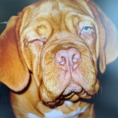 rijn_van4824's profile picture. 