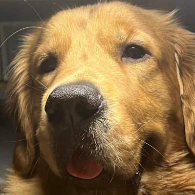 Jieshuoles50845's profile picture. 