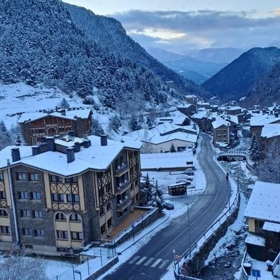 Nersaurus's profile picture. 