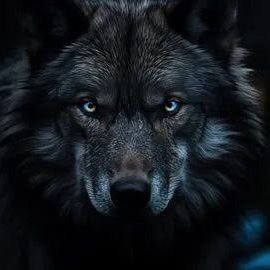 userr235q's profile picture. 