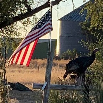 InquiringFinds's profile picture. Petitioning the American people to elect America First patriots to Congress, statehouses, and local governments