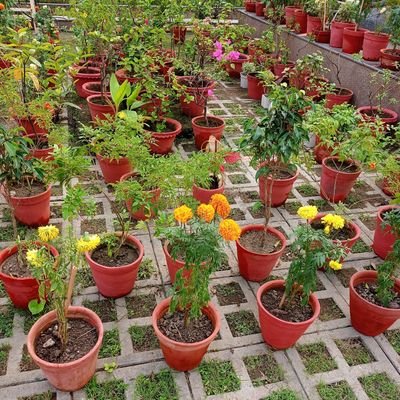 em_basu's profile picture. Simple & inclusive; Believe in 'live & let live' ; Indian, born & raised in Calcutta, living in Kolkata; An INFJ, July born Cancerian.

🎧 ✍️📻🎬💻📖🎨🎭