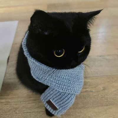 zhng199615's profile picture. 