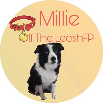 @MillieOTLFP