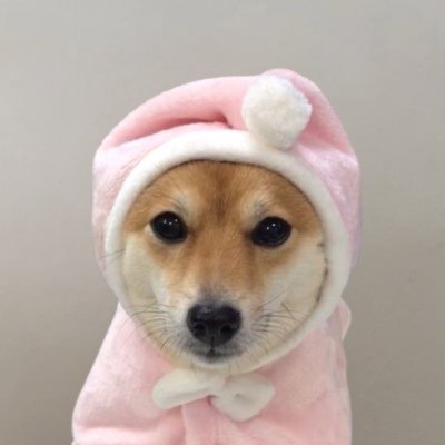 bonecooks's profile picture. 