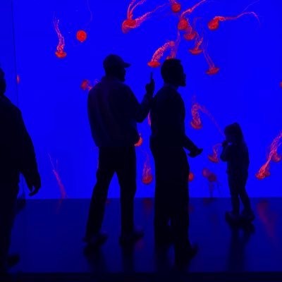 Sogoxxv's profile picture. 