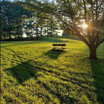 DasManoshh's profile picture. You Are a Beautiful Distraction 🙃