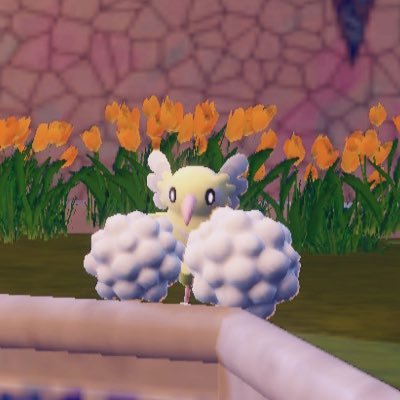 komeko_ran's profile picture. 好きなものを好きなだけ