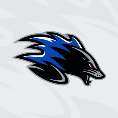 SJSeaDogs's profile picture. Official account of the two-time Memorial Cup champions and three-time President Cup champions.
