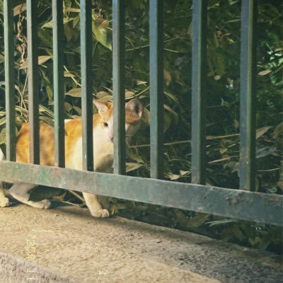 hemaharini_'s profile picture. 