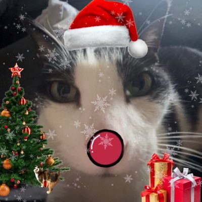 MrSnoopLoops's profile picture. 8 yearce of olde | Pinkest nose man | Have 2 siblinks | Dade is 19 yearce