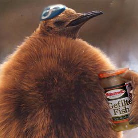 gelbst3in's profile picture. Co-founder: https://t.co/mzUdORmeUZ / @suttersystems