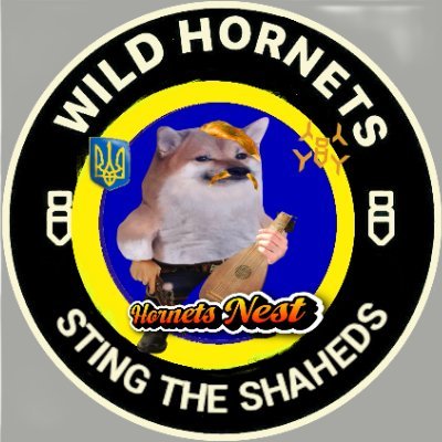 ArmedMaidan's profile picture. Int'l support coordinator @wilendhornets drones 

Donate: https://t.co/ktWSRDCkSd

Shop: https://t.co/HwsmFDnFSM

🇺🇦🇨🇦journo @AlexRoslin