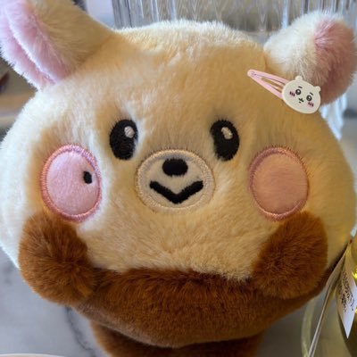 chiisungiie's profile picture. big fan of #ちいかわ and #박지성 | 🔜gayo daejeon, tds4 osaka