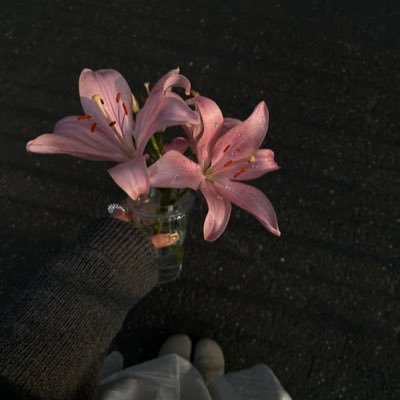 thelovelyygirl's profile picture. @alhilal_fc 💙