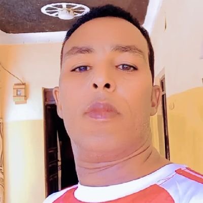 ibrahabdi's profile picture. Specialist in Project Management. Humanitarian and Environmental activist. Empowering change. Fueled by coffee, driven by ideas. Chasing goals, embracing growth