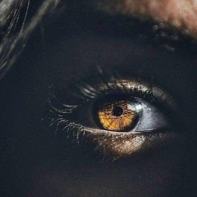 manman202317's profile picture. حرف خاصی نیست.