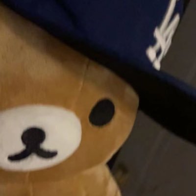 dleot28's profile picture. 김지원최윤지고윤정노윤서이은재