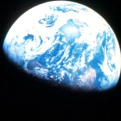 eczlatif's profile picture. ishal