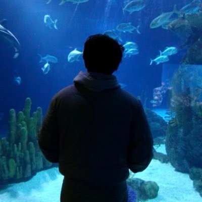 baothiento's profile picture. design engineer | cs + art @columbia | building @joinscraps & @zeneditorco