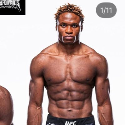 wresboxyawataev's profile picture. UFC RIZIN MMAとボクシング 修斗0-1  アイコンは神奈川にいたネコチヤン