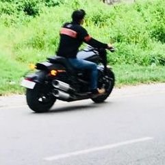 VishalGoga7's profile picture. Horses, Military History, Constitutionalist