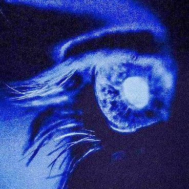 VarshithKarkera's profile picture. how you doin 😏