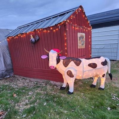 Deb Williams Profile