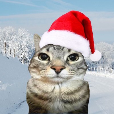 korzetti's profile picture. 20 anos, ?
estudante de engenharia da computação, gosto mt de pokémon e animes como black clover, bleach e db. e adoro reclamar da minha vida