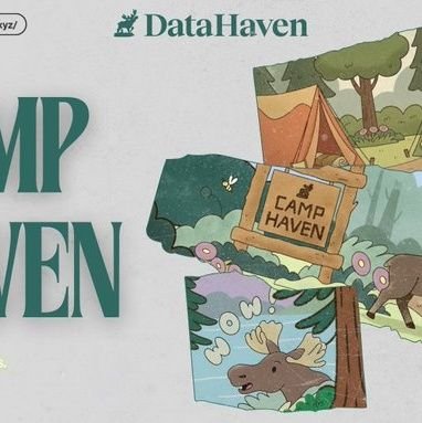 Niazi__010's profile picture. DataHaven_xyz