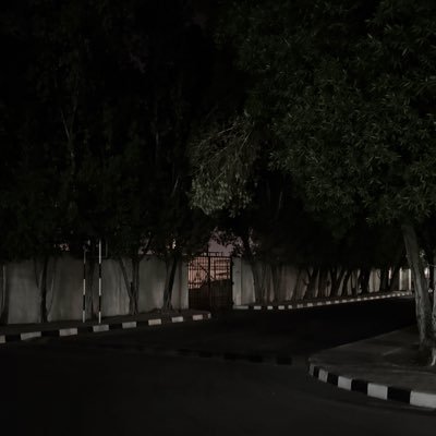 callmesenorit's profile picture. 