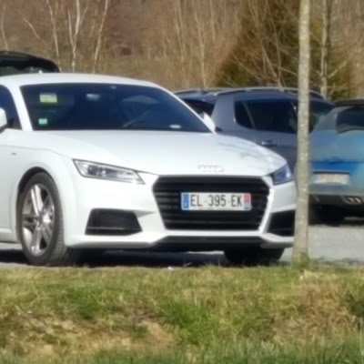 Pandanight99478's profile picture. 