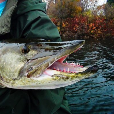 bringbacktakeo's profile picture. MMA finatic, NYSE trader, Multi-Species Angler, and book lover.

0 legitimate followers