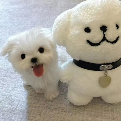 richl574852's profile picture. 