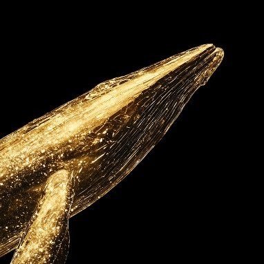 whalewatchalerj's profile picture. Whale Watch by allows you to track what the best whales are trading in real-time. Download Moby Mobile - https://t.co/kaM4Q61a7i