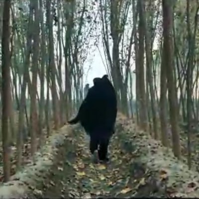 gujjaarr's profile picture. خدایا رحم کُن بر من پریشاں وار می گردم