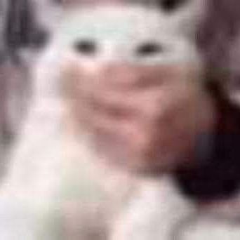 2021_modo's profile picture. 