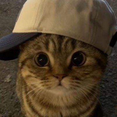 l0emn's profile picture. النجاح.. هو مجموع الجهود الصغيرة التي تكررها كل يوم .